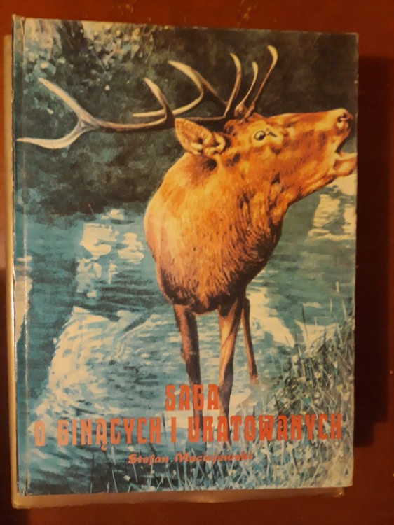 4dfac03e49b788c483b6120f2928