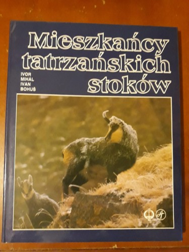 dfb19f3d409298b8d098c8038a85