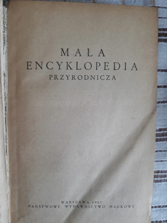 8e4ad5c342d1ac0c32b397603ceb