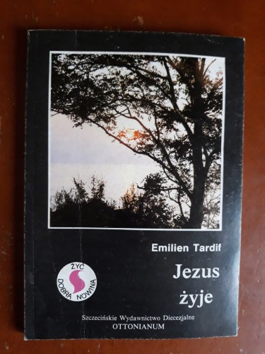 fe19fa4f474f84cf8826288041da