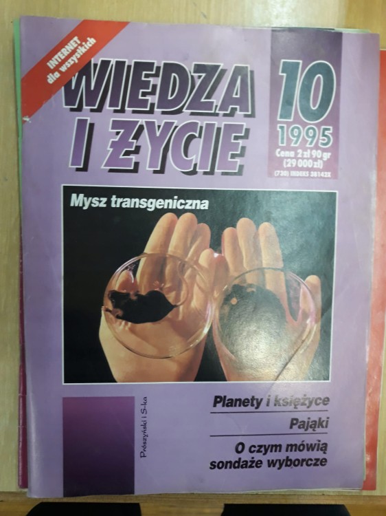 d724d1a545d697f68378f08286d4