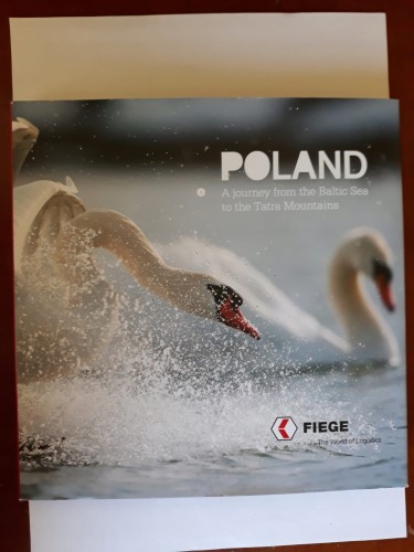 3f1550a949118be33dac0331c894