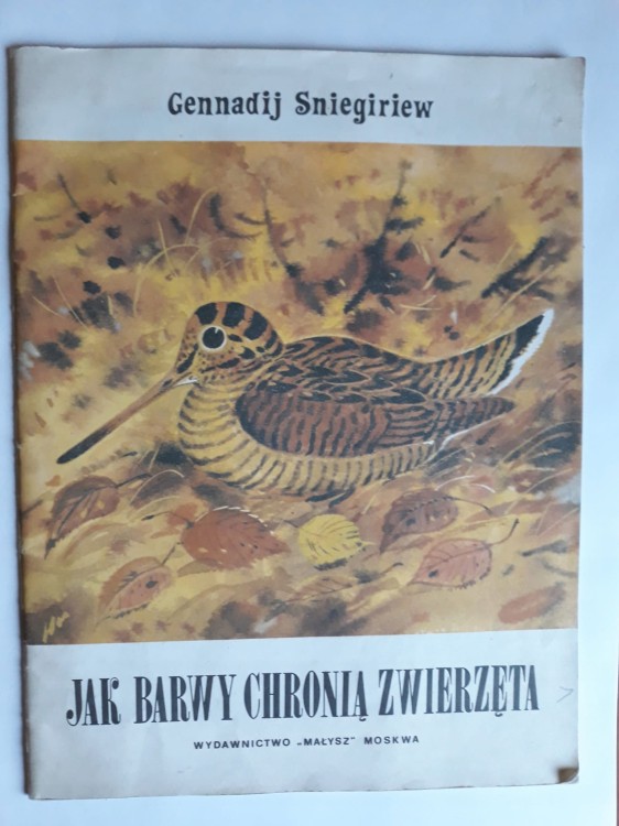 40f96e4b4b4e93b74ec50e4f69e5