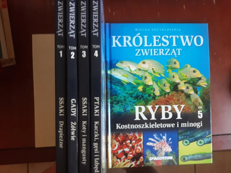 a72ca9d042a7a64bff60fc0c433b