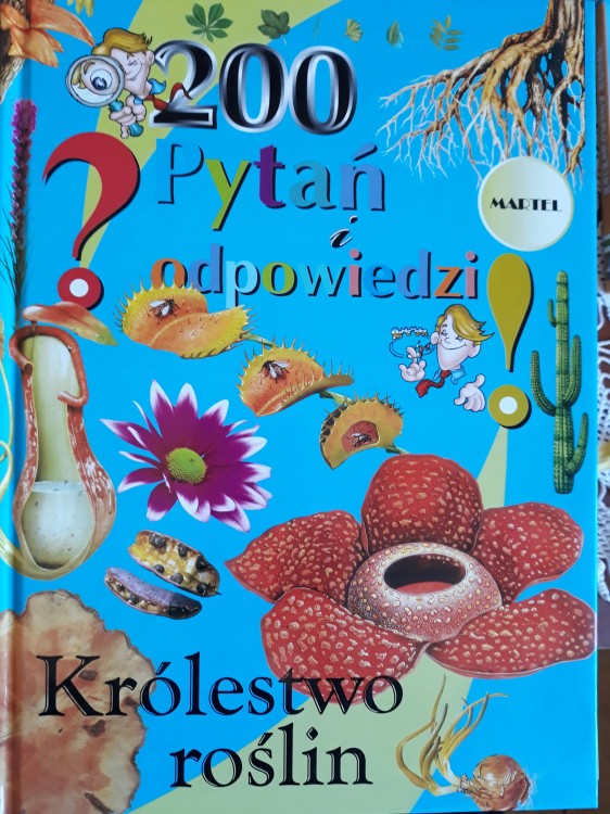 a364780544eb9ef66f461cffd1ec