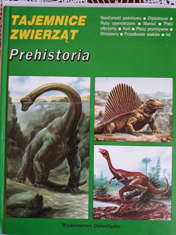 1ec1c10244dcaaf528f8ae1dc9ad