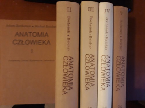 a6af6590414a9e2d447d1754604c