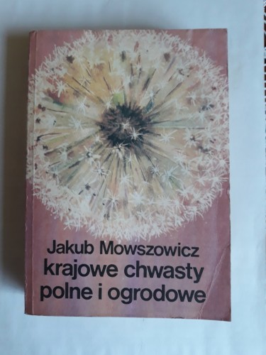 b5015937487698b5ccfcc0f6e001