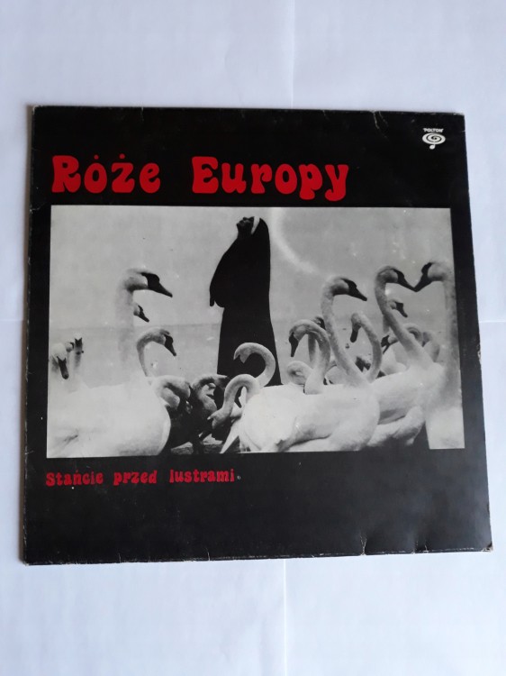 5617a6e04fbab973b89f95407f7c