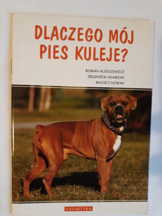 132c01e946eb810b53bf75a2eb8e