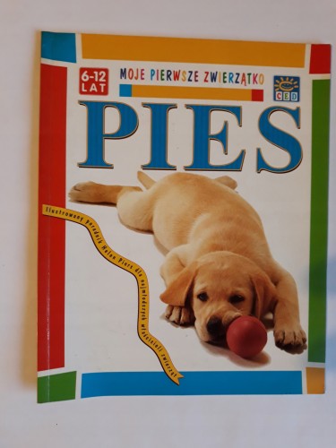 c62815294631bc050a6a2e62a51c