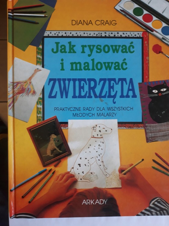 a80568fa49e88efea7aa681d78c5