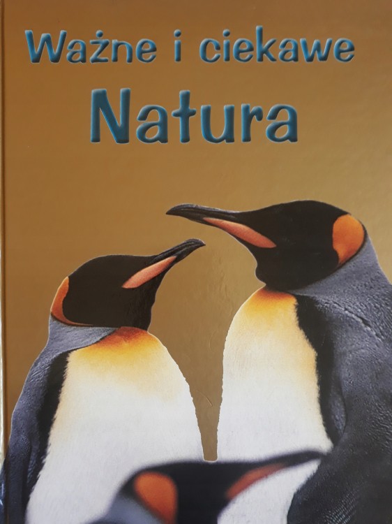 9118fd1542d79af38d7c21b7efb6