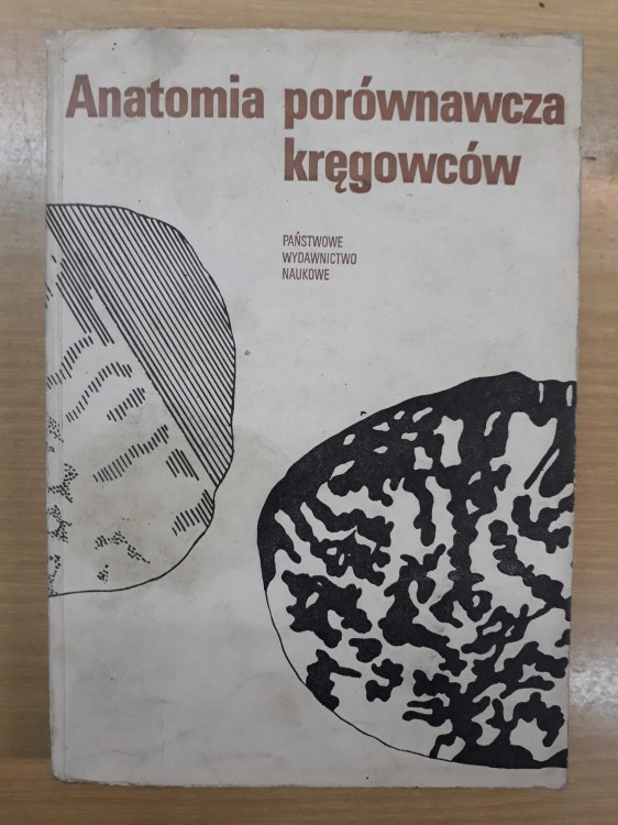 7592859142