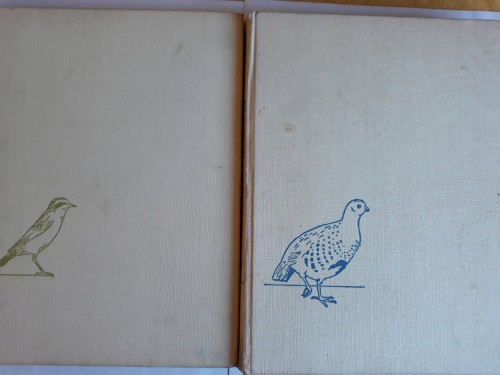 40f8f2924afa8eabcac674fd7bc0