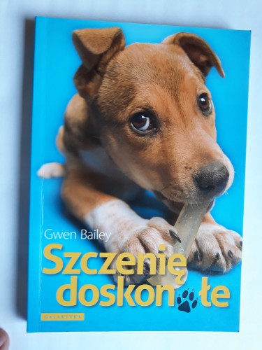 0bbcc8214d9ea9d61960ec6dc03e