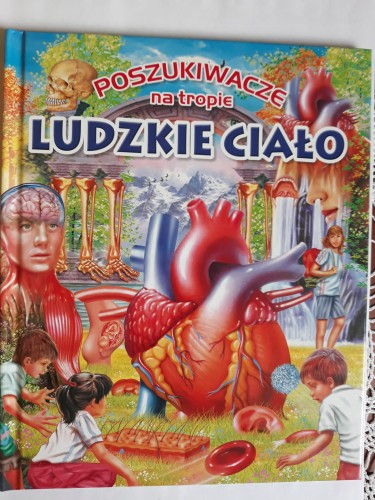 d31c38244a3782a7bf7a27a409c1