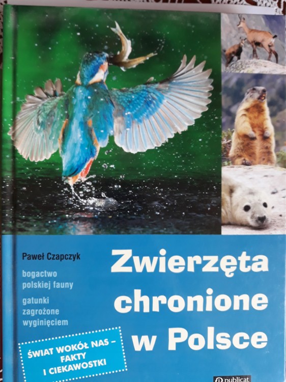 ae06a5074dd0b4e543e1ed7c10d8