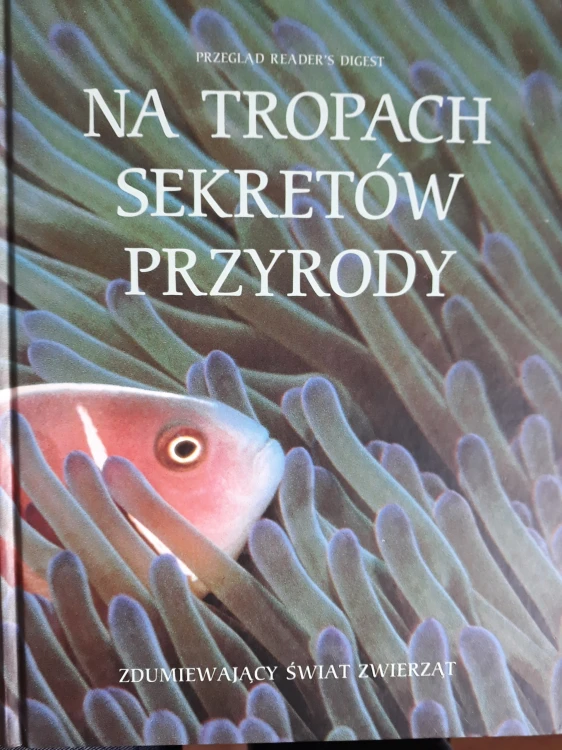 46ffd3984772ab0a609c9858a752