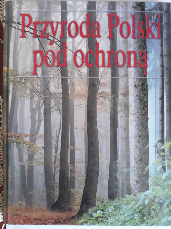 5549779a4546b6dc0cc28919a393