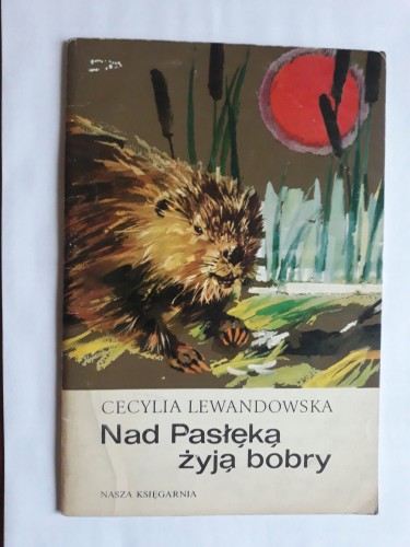 092612f24e9983ad984897ca2a5d