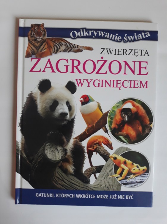 4462ae0c49f39c4d730c9b02569e