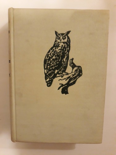 3aab73f7408fa9052ae72e3ea507