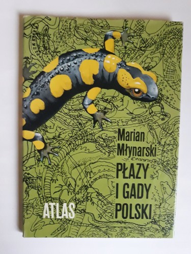 20b41eba48c18a51318232e2e08c