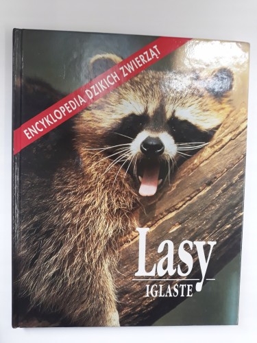 00859f854a2985a9fe7921f7ceaa