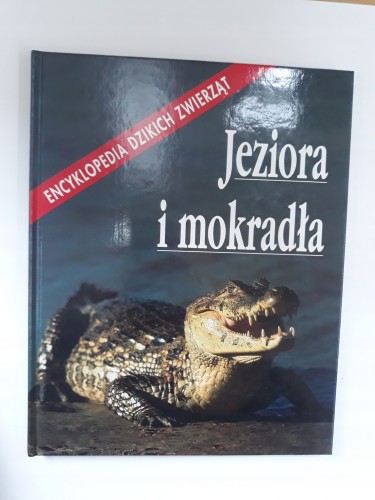 990190a24d92be81bb62abcc129e