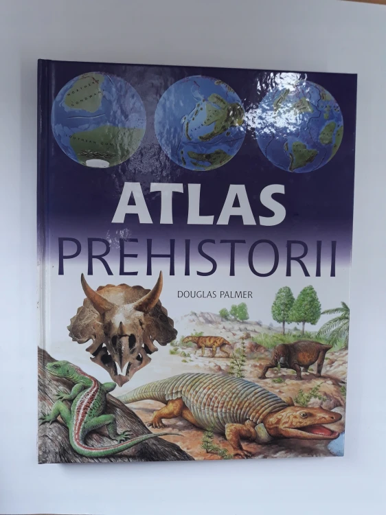 7b81815e454084261dd666d3dcfd