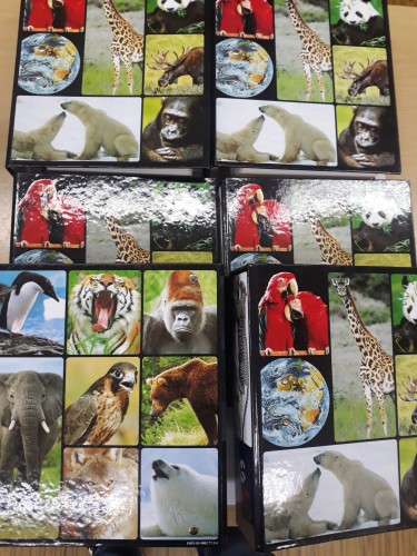 4dca84904c94a28d078faed32eb7