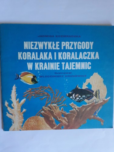 2626820d44cf9f54bd51a9c24c5a