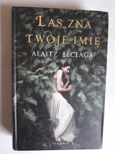 46a80b23400891434df3ea177e91