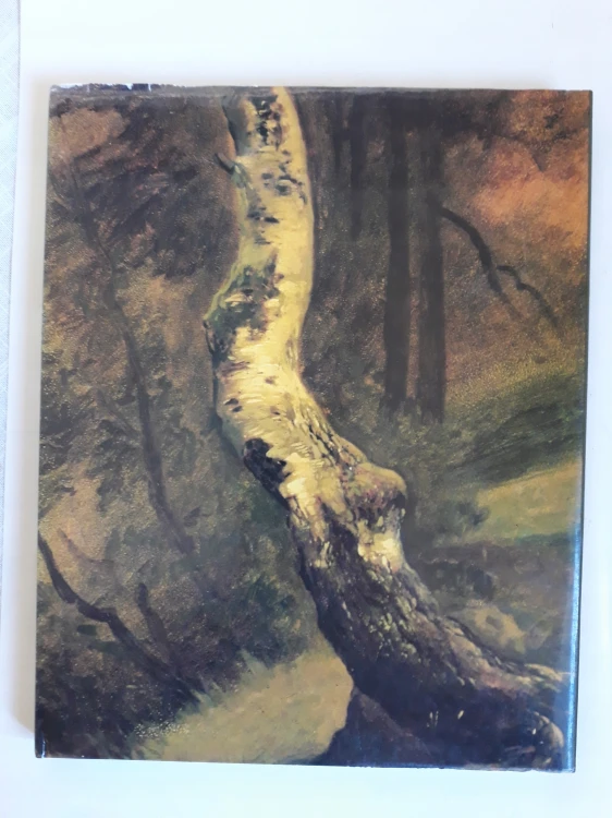 1519f3364d87b65798ec81e4ad02