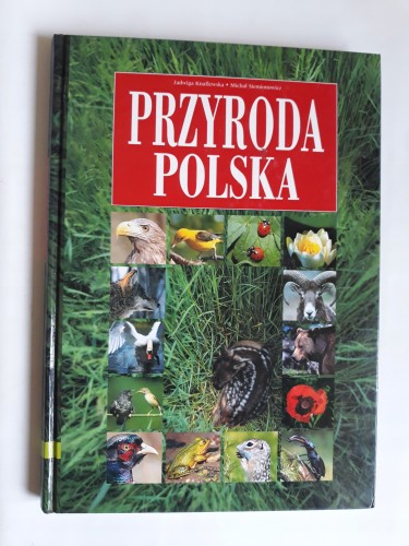 3aee2d98405aad47e0932d9eaa62