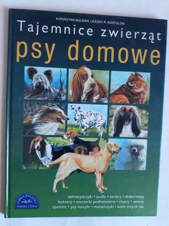 1e6d0d54428e90d3e44f90c9a24b
