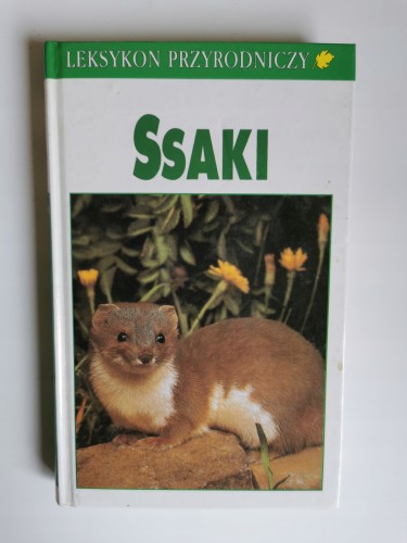 dbe27bfa473481a3b9d9323663bb