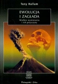 2256eece41a4a526f1ad28776c49