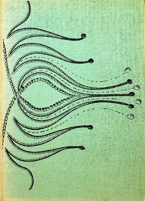 a37a707540f8b70c615b6f40b388