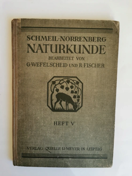 206d387046058e638839560665d1