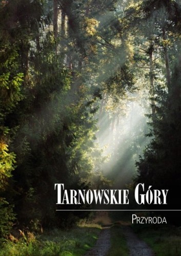 c27383254de5bb747c70f7896f07