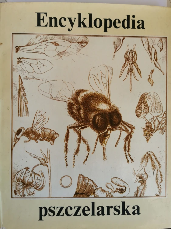 870a2a504941ac9e8111541c2cd2