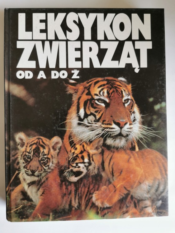 b1b0fd8c41b2bf1ff5fc37aebd55