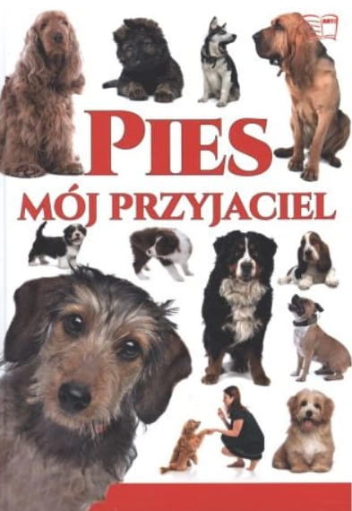 pies.jpg