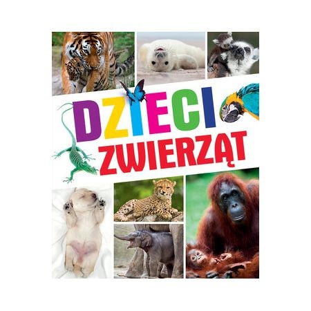 zw.jpg