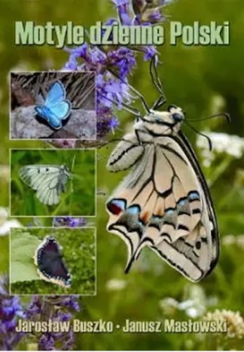 motylePolski.jpg