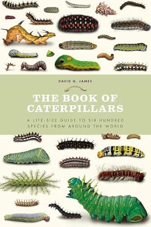 The Book of Caterpillars.jpg