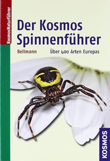 der_kosmos.jpg
