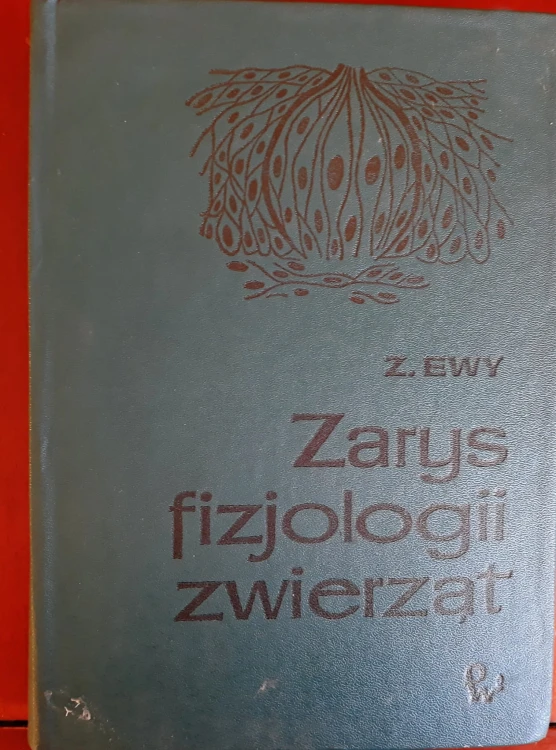 7374688740